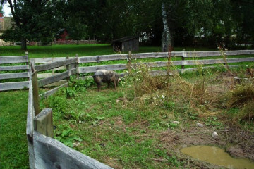 129-04.08. Skara-Fornbyn